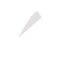 莆田临时保镖服务